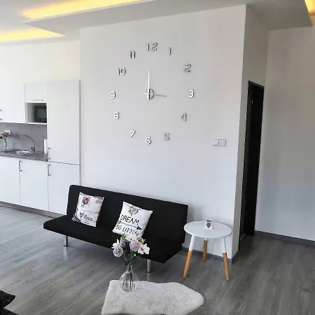 Apartment Apartia Skorepka 15, Brno-center *